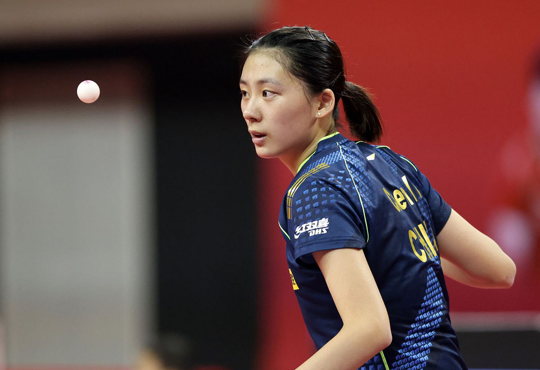 将决定他们 将决定他们