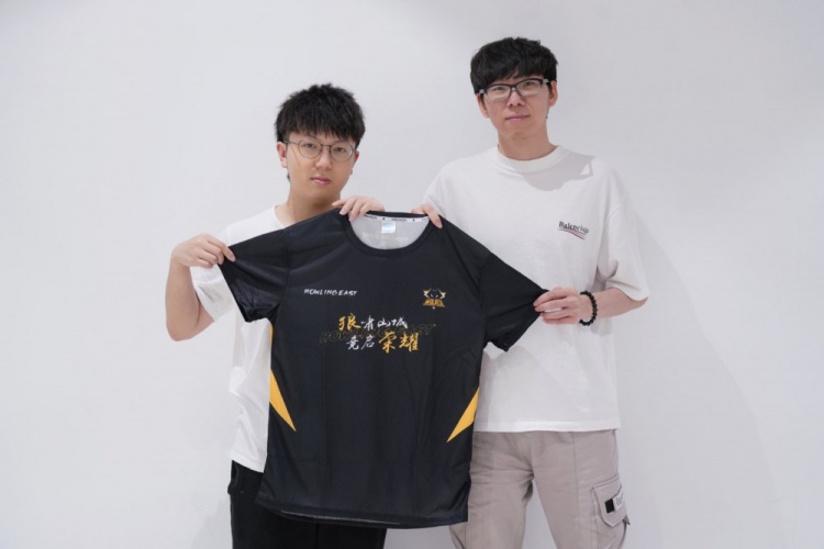 要检验替代 要检验替代